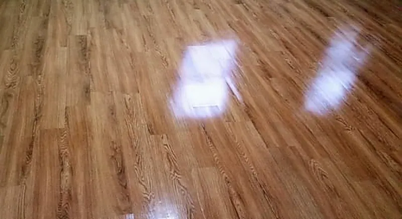 Sunlight falling across a well-maintained glossy hardwood floor in a Pacific Northwest home